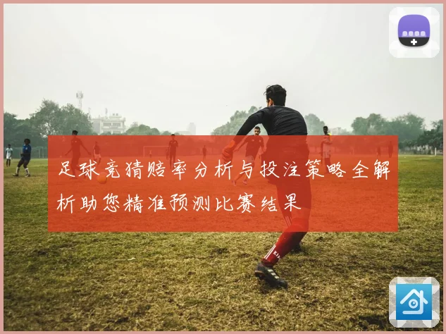 足球竞猜赔率分析与投注策略全解析助您精准预测比赛结果