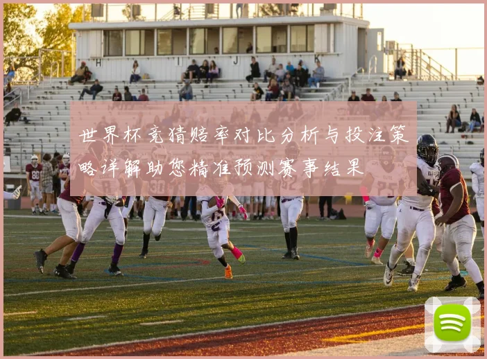 世界杯竞猜赔率对比分析与投注策略详解助您精准预测赛事结果